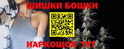 МДПВ Пушкино