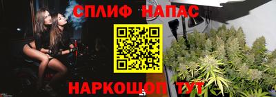 МДПВ Пушкино