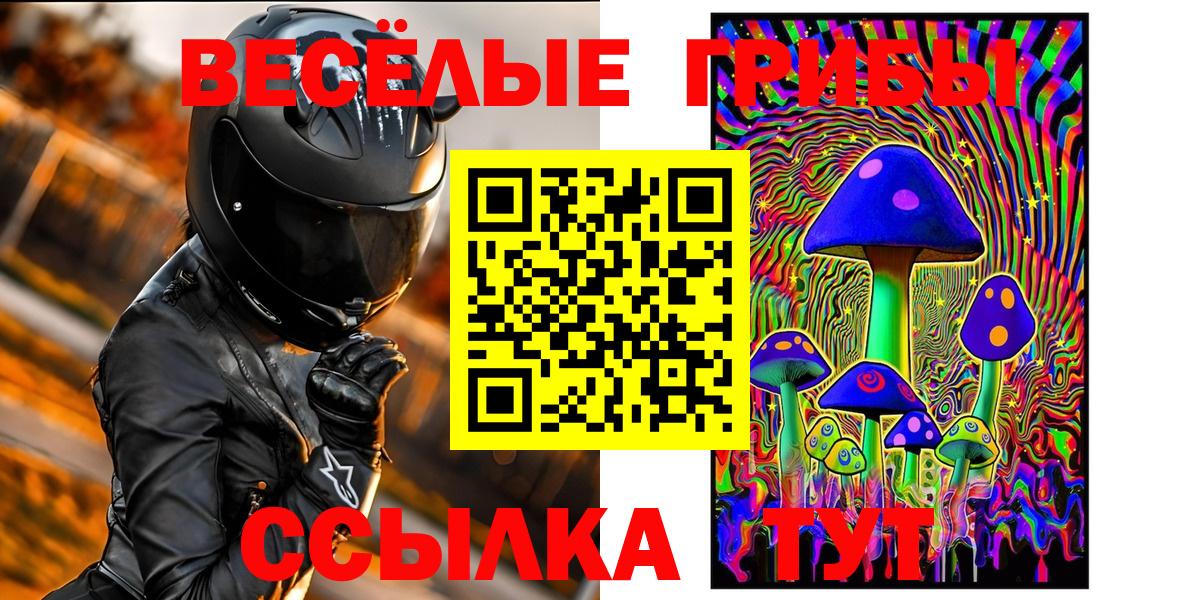 Псилоцибиновые грибы мицелий Рославль