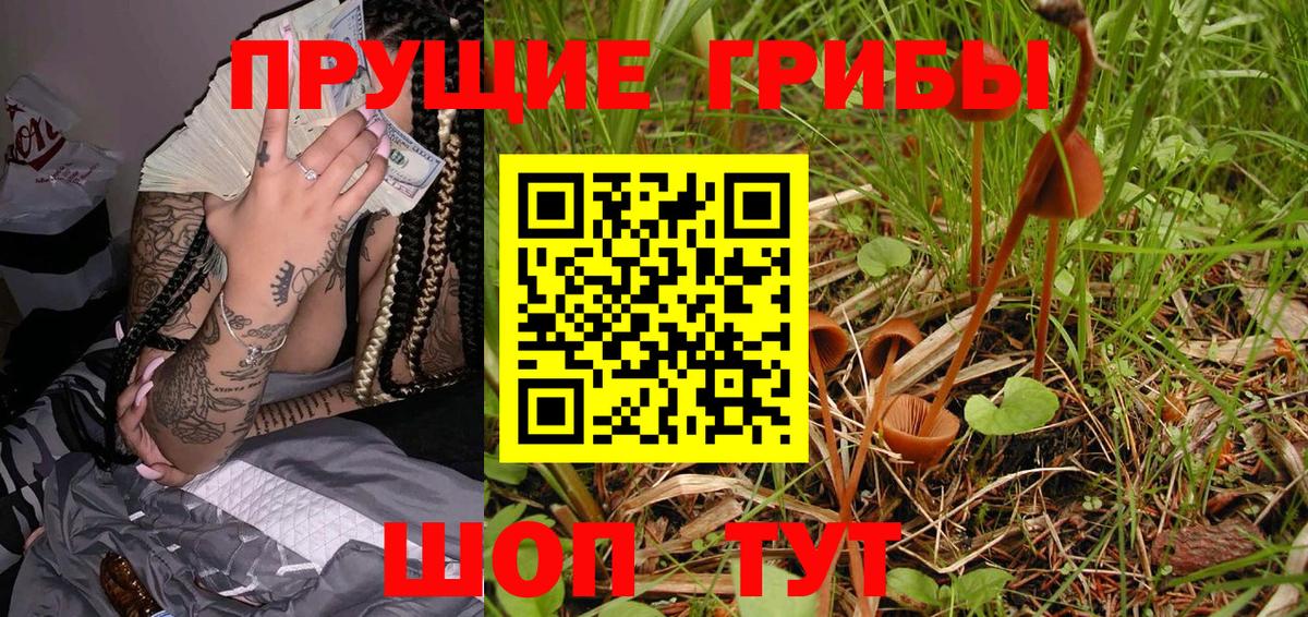 Псилоцибиновые грибы Magic Shrooms  Вход с VPN  Рославль 