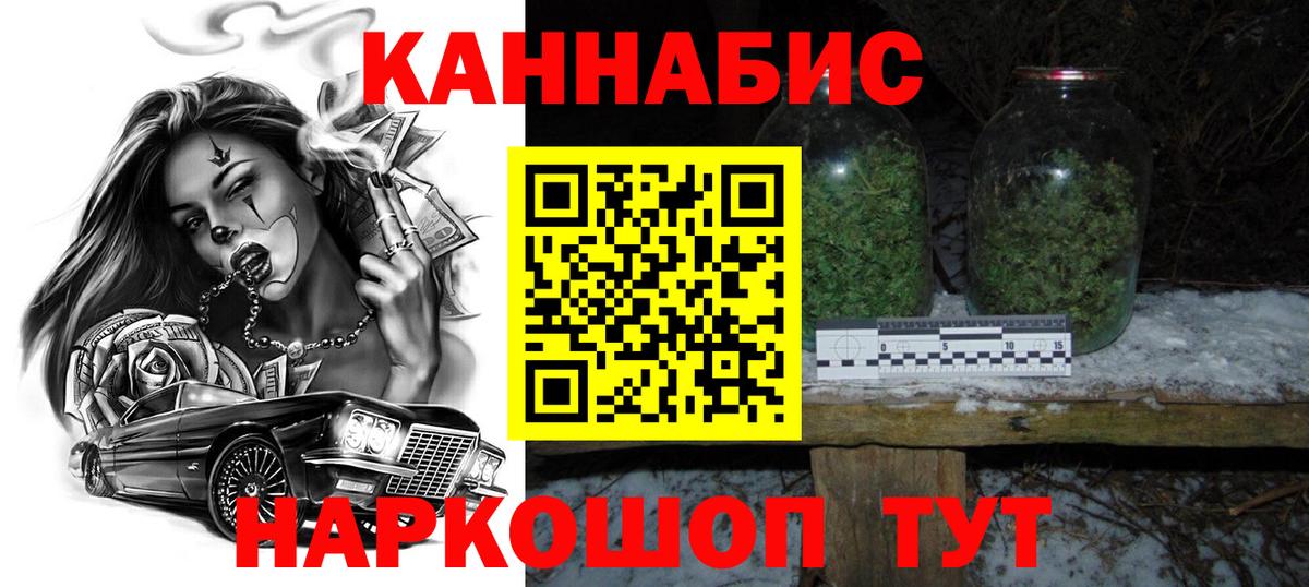 Конопля сатива Рославль